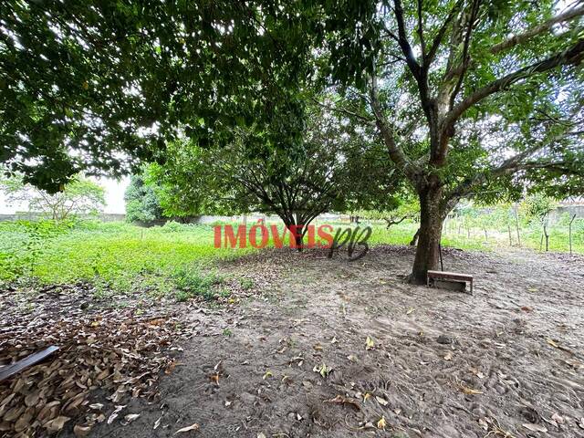 #785 - Área para Venda em João Pessoa - PB - 1