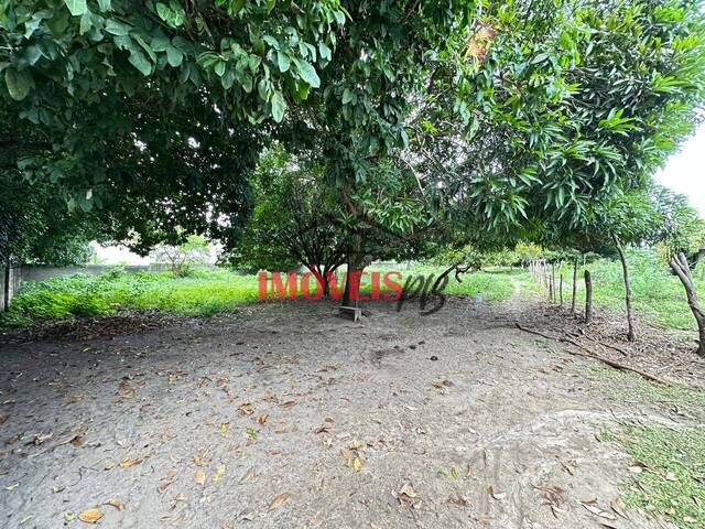 #785 - Área para Venda em João Pessoa - PB - 3