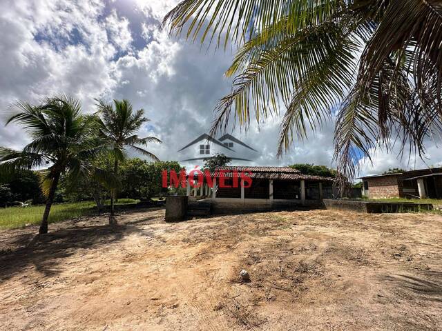 Venda em Centro - Conde