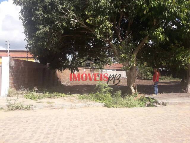 #895 - Terreno para Venda em Conde - PB - 1