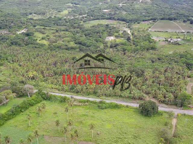 Área para Venda em Conde - 4