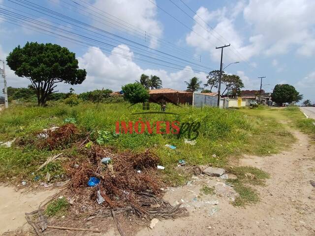 Área para Venda em Conde - 4