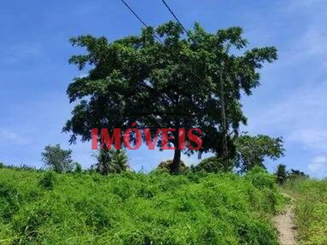 Chácara para Venda em Conde - 4