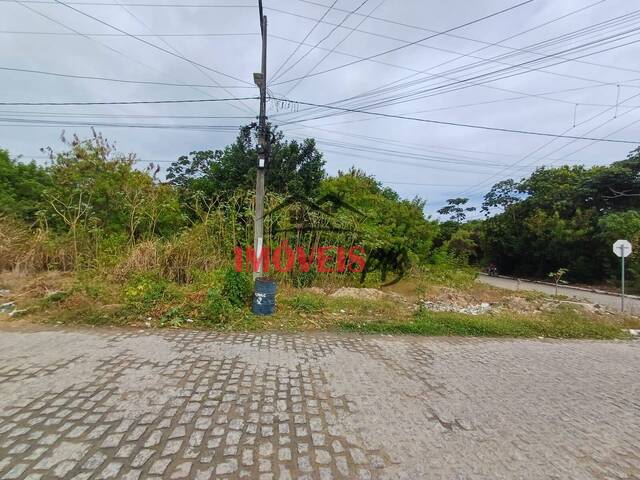 #1025 - Terreno para Venda em Conde - PB - 3