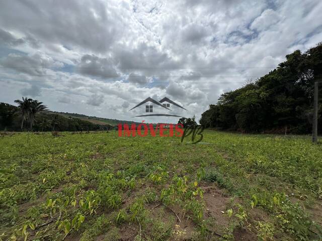 Venda em Centro - Conde