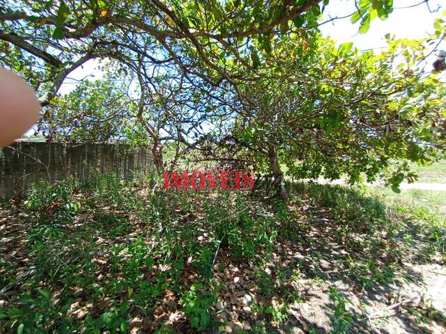 #1096 - Terreno para Venda em Conde - PB - 2