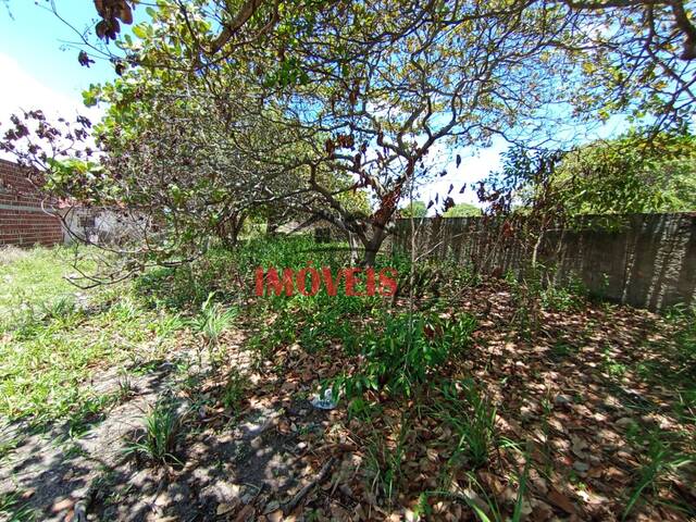 #1096 - Terreno para Venda em Conde - PB - 3
