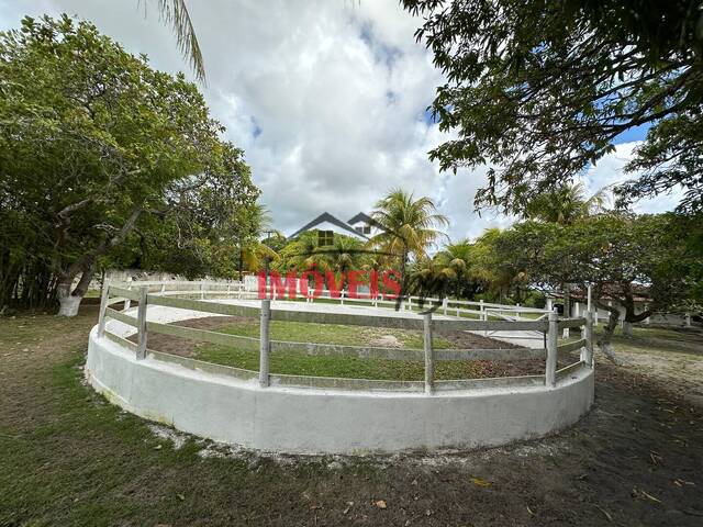 #1127 - Chácara para Venda em Conde - PB - 3