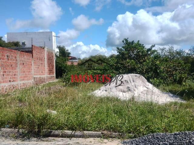 #1212 - Terreno para Venda em Conde - PB - 3