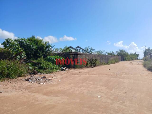 Área para Venda em Conde - 3