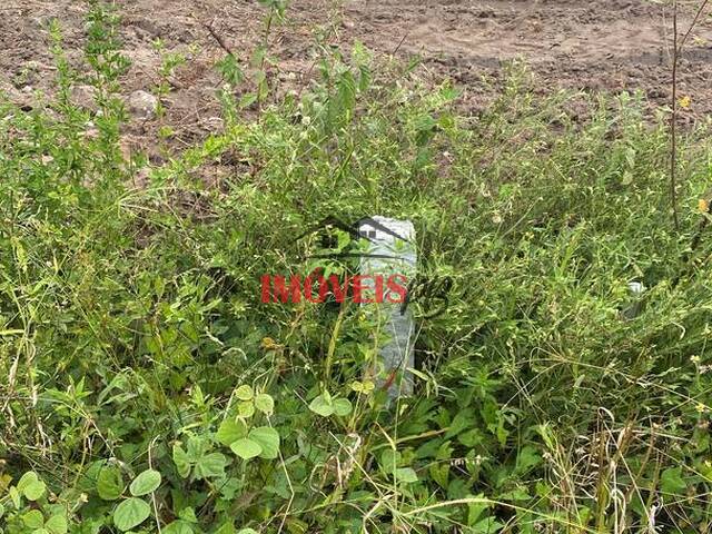 #1426 - Terreno em condomínio para Venda em João Pessoa - PB - 3